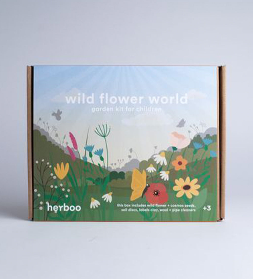Wildflower World Seed Kit