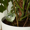 Slow Release Water Dispenser