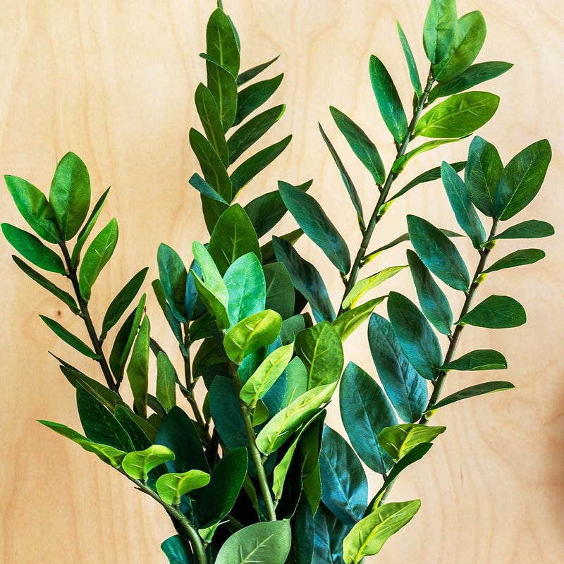 Artificial ZZ Plant