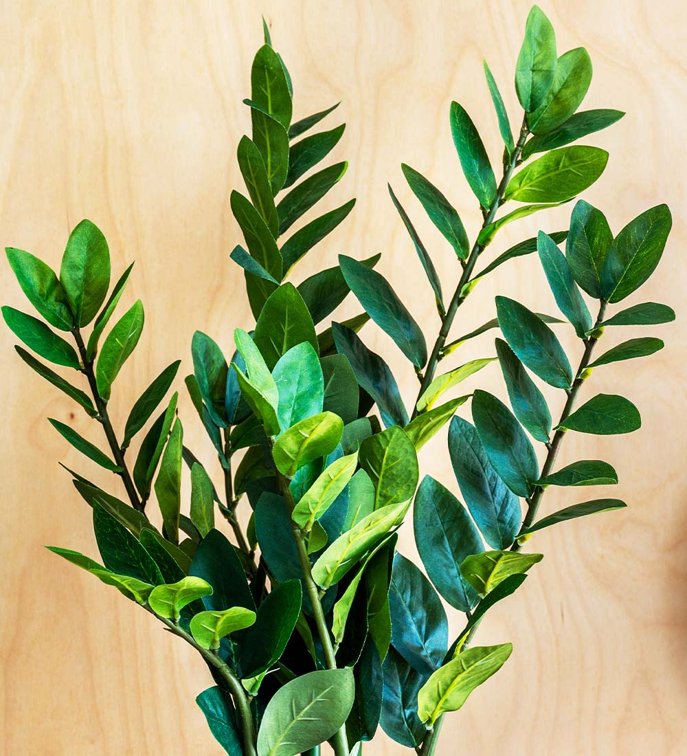 Artificial ZZ Plant