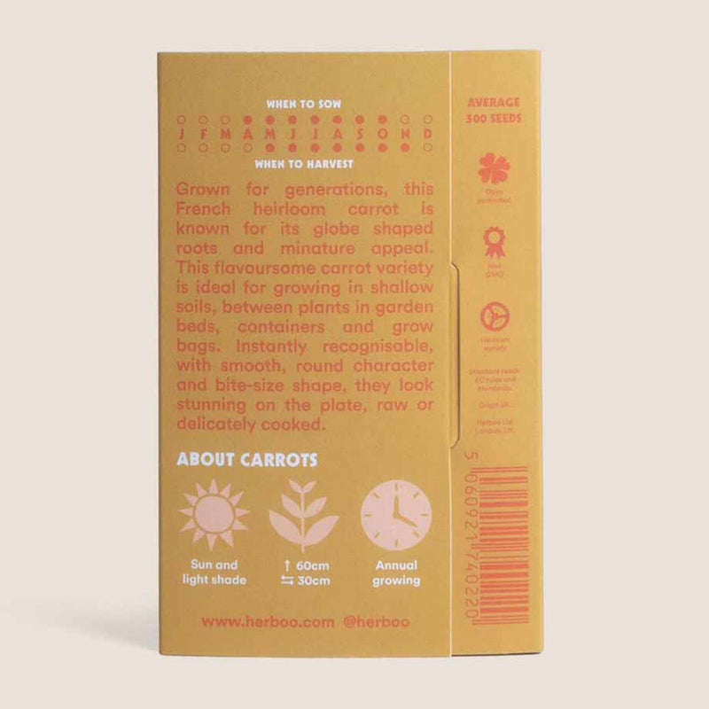 Carrot Seed Kit
