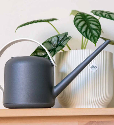 Elho Watering Can