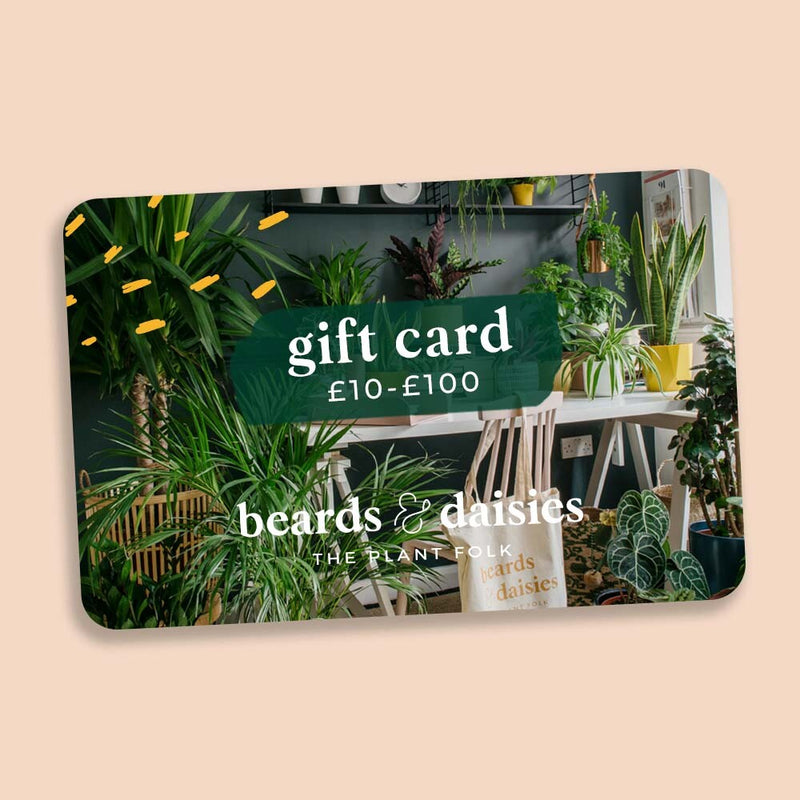 eGift Card