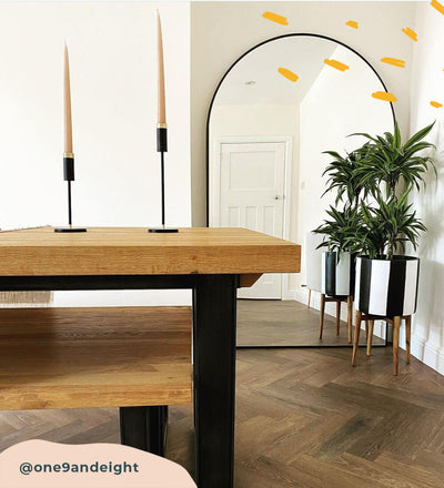 Large Dracaena Fragrans Warneckei