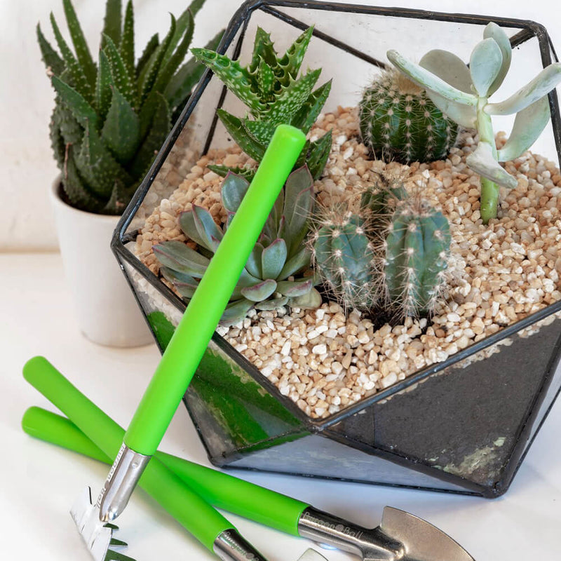 Terrarium Tool Kit