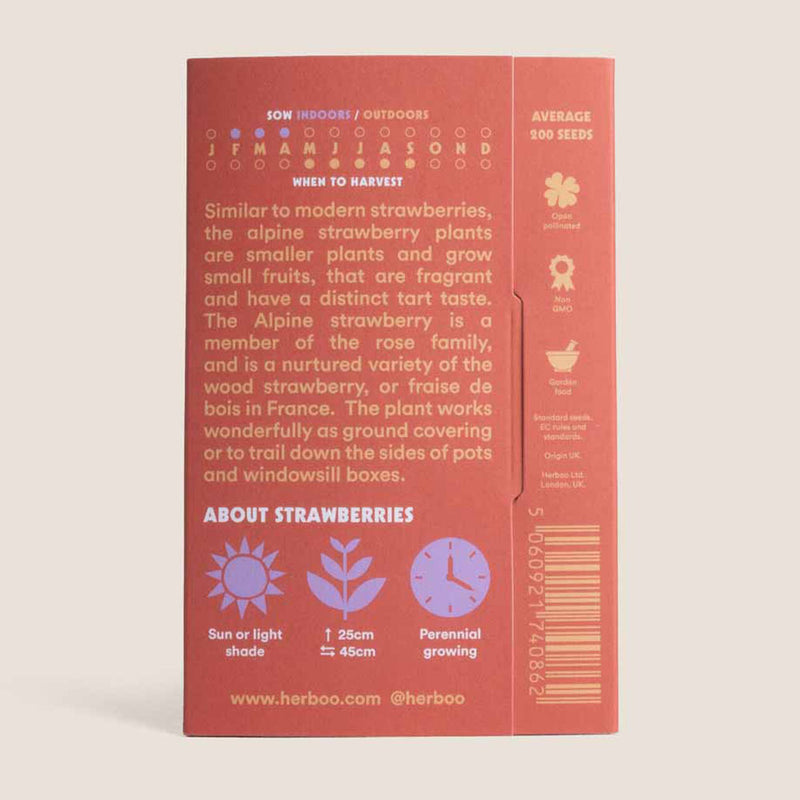Strawberry Seed Kit