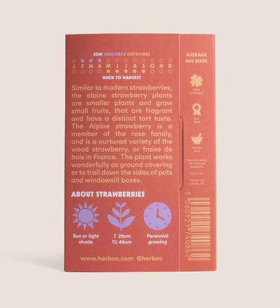 Strawberry Seed Kit
