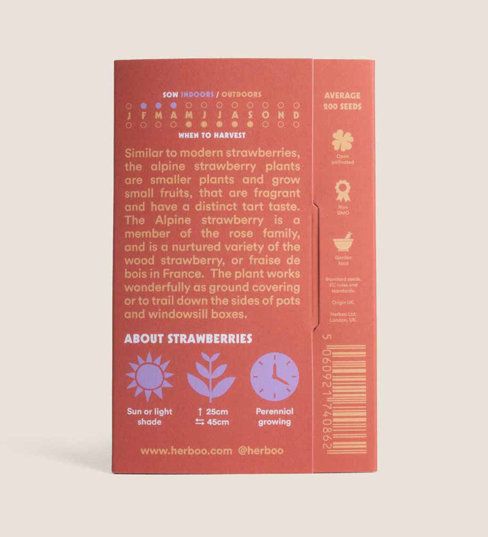 Strawberry Seed Kit