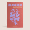Strawberry Seed Kit
