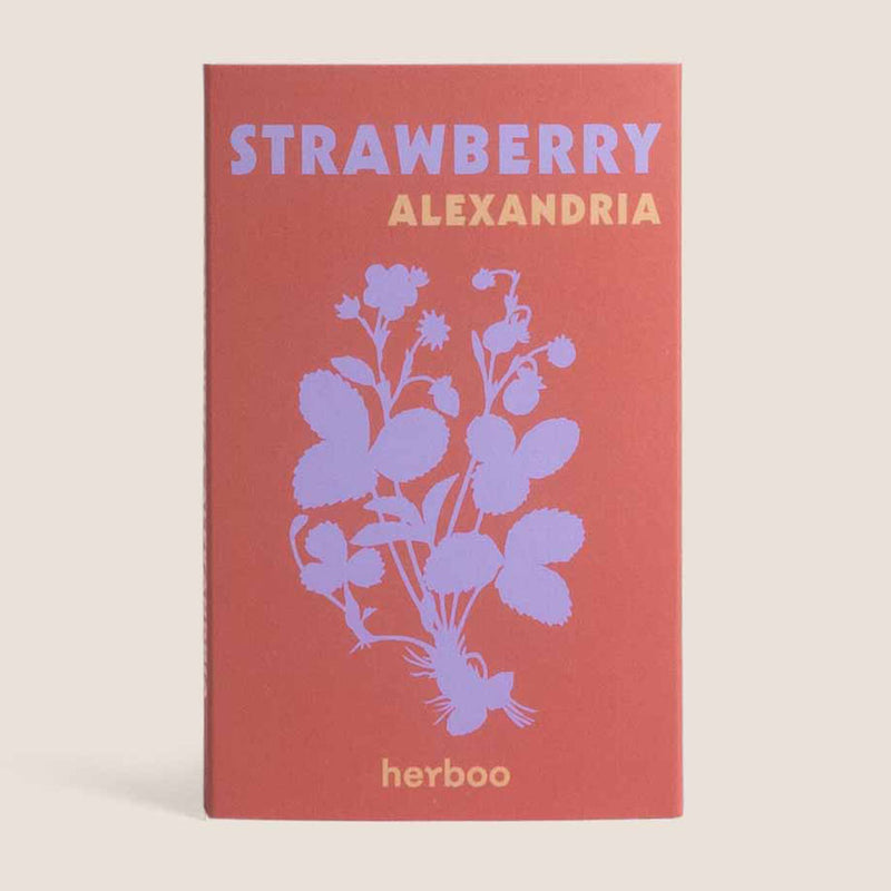Strawberry Seed Kit
