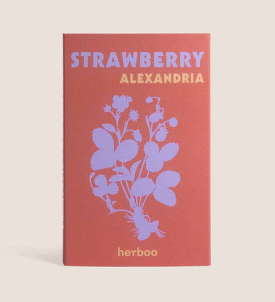 Strawberry Seed Kit