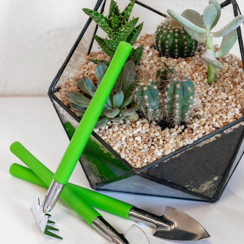 Terrarium Tool Kit